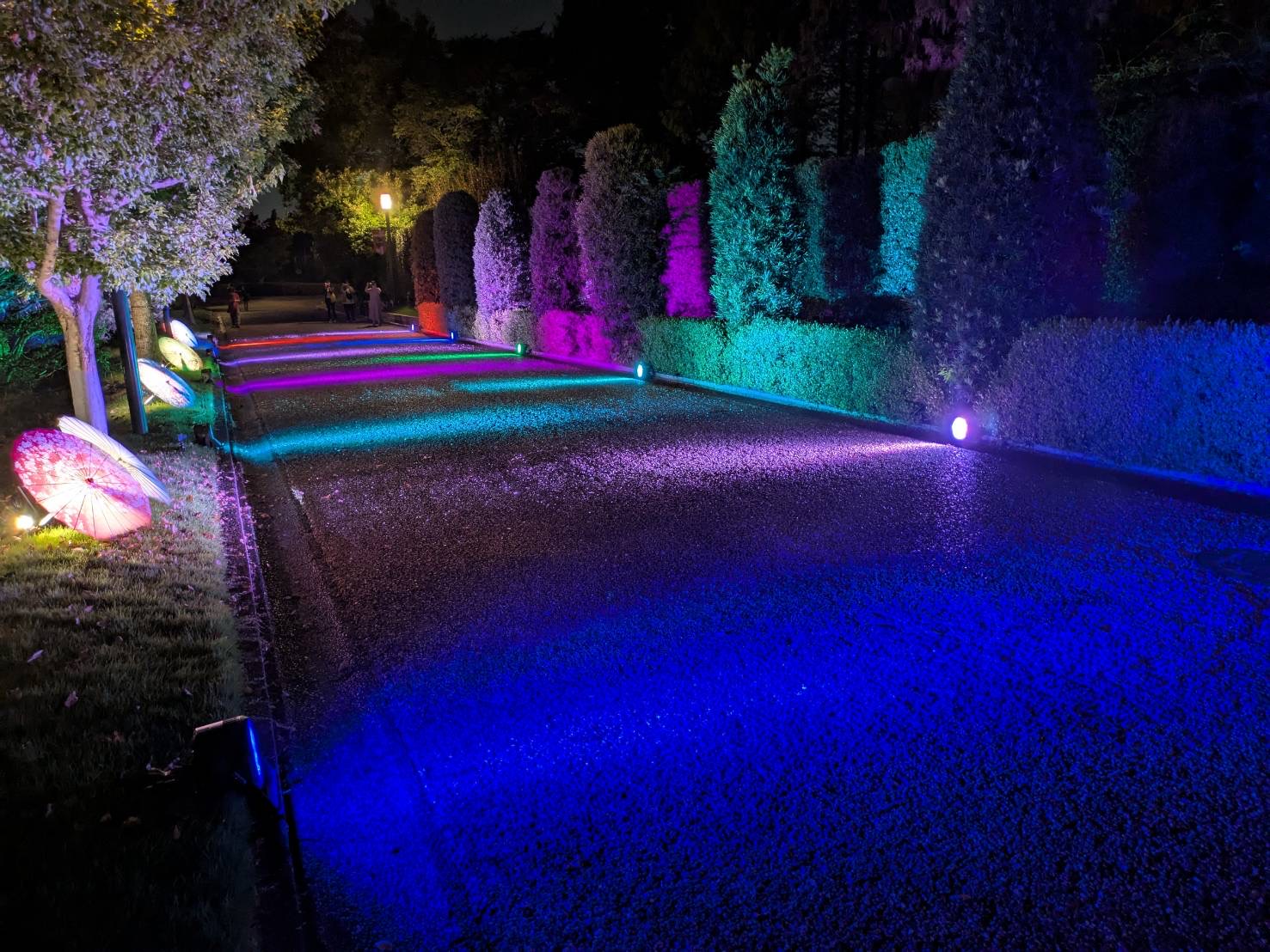 イルミネーション施工事例