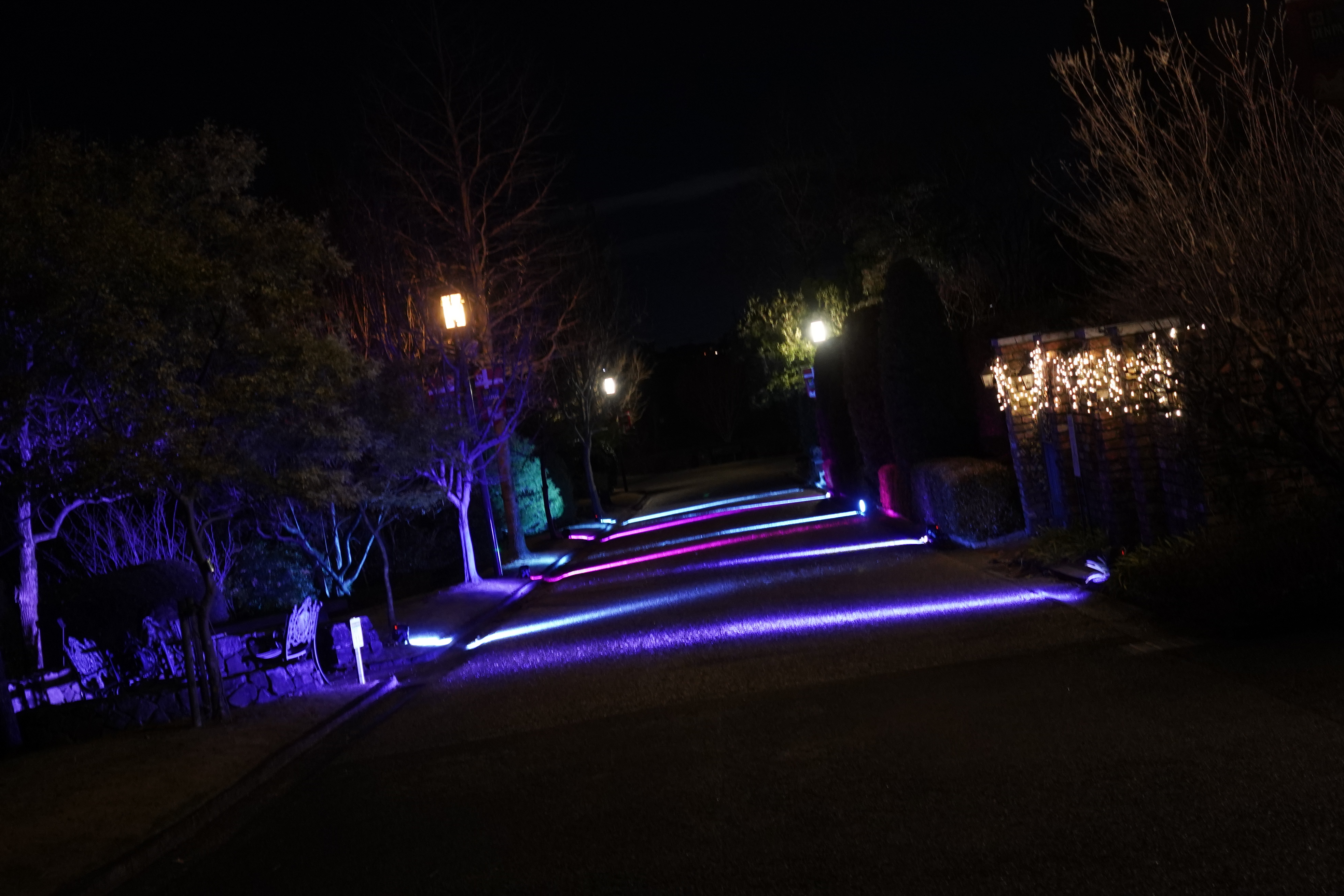 イルミネーション施工事例