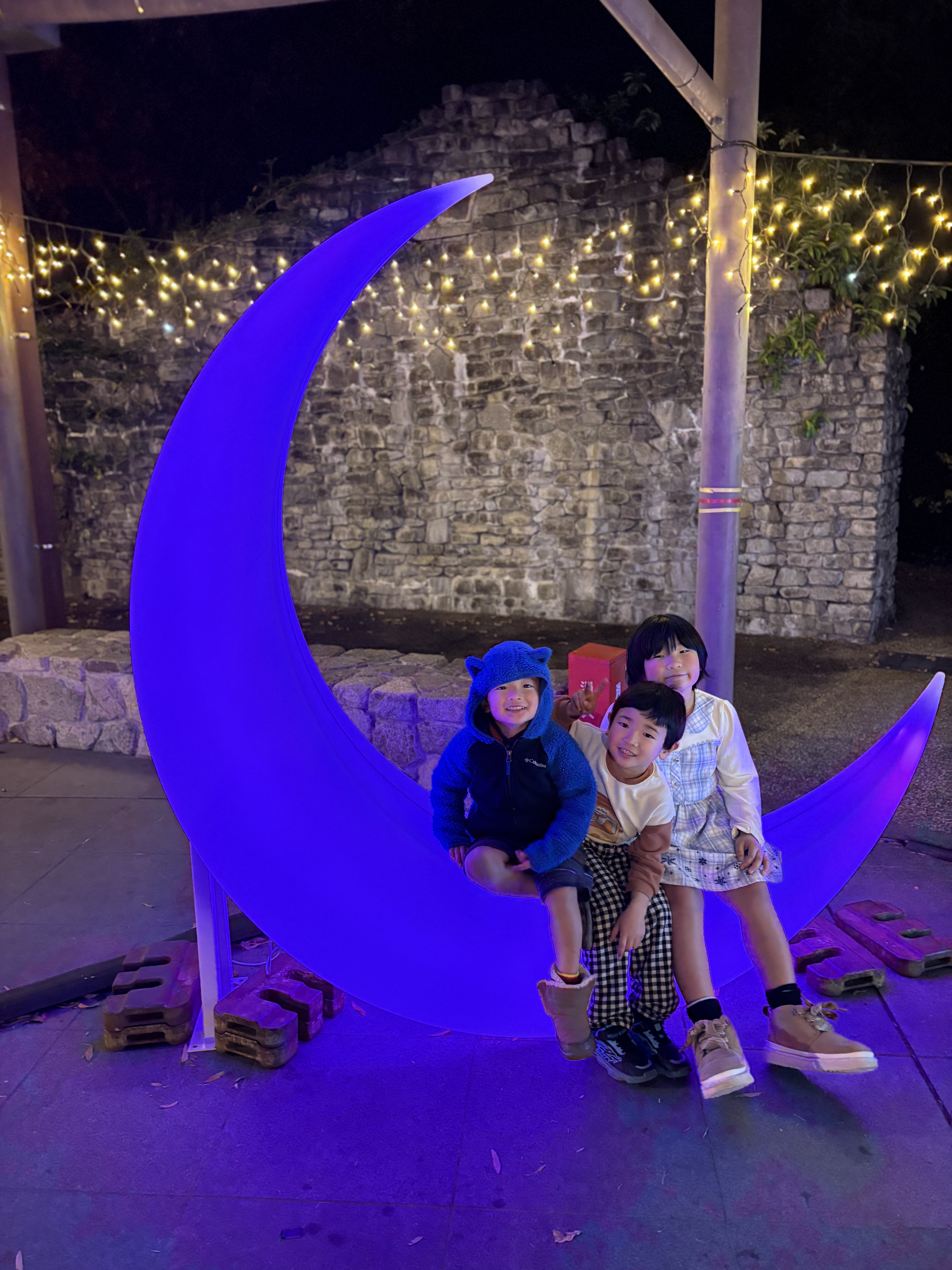 イルミネーション施工事例